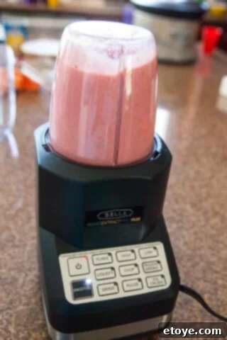 BELLA Rocket Extract Pro Plus Blender: Full Review and Exclusive Giveaway 4 BELLA Rocket Extract Pro Plus Blender smoothie blend