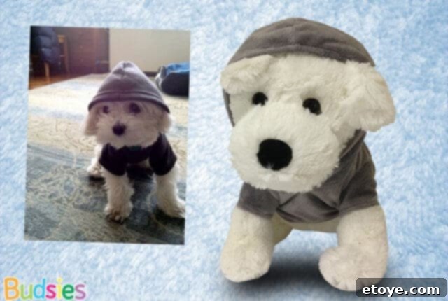 Budsies Review: Anticipated custom pet plush
