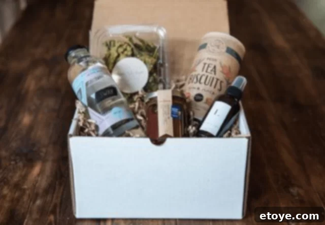 Contents of The Coterie Sampler September box
