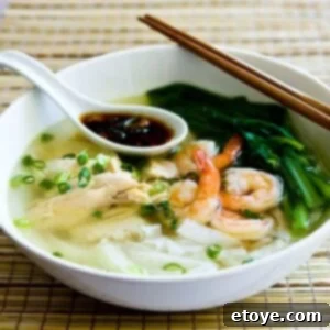 Malaysian Chicken Noodle Soup with Fresh Asian Greens and Spicy Chili Soy Sauce 4 A beautifully presented bowl of Malaysian Chicken Noodle Soup, ready to be served.