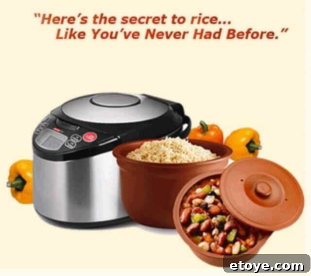 Various dishes cooked in VitaClay, showcasing versatility