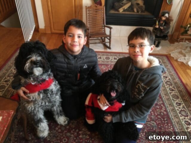 Children sleeping soundly with Venta Airwasher