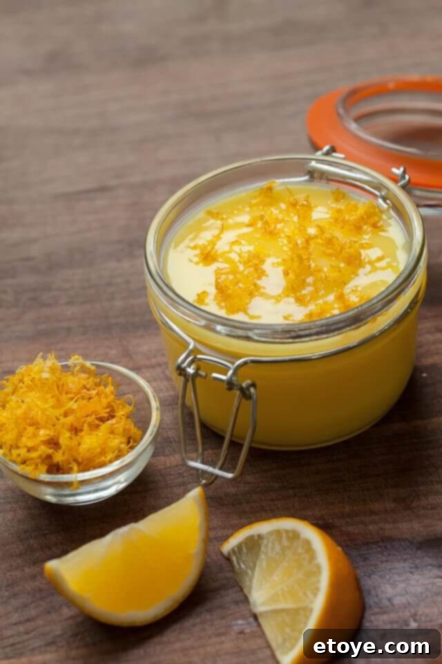 Bellini Kitchen Master Review Win It 12 Close-up of the delicious lemon curd on a cracker, highlighting texture