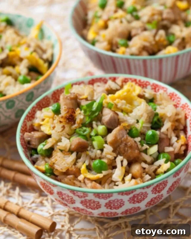 Authentic Chicken Fried Rice Recipe chicken fried rice recipe