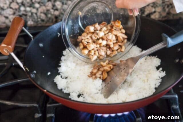 Adding Chicken to Fried Rice chicken fried rice recipe - add rice chicken