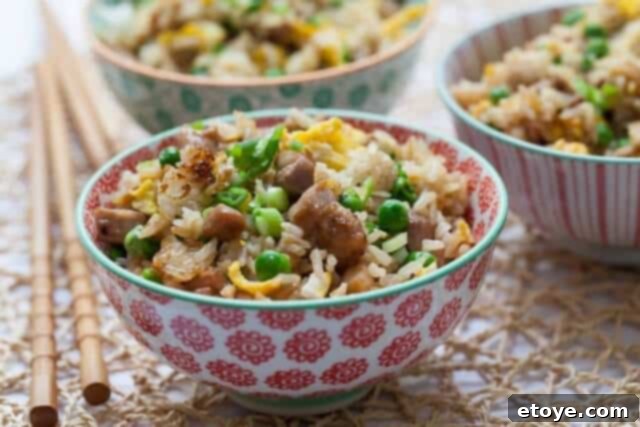 Homemade Chicken Fried Rice chicken fried rice recipe