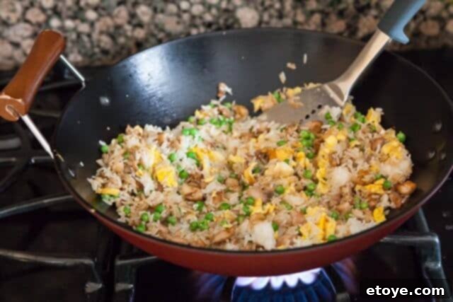 Finished Chicken Fried Rice chicken fried rice recipe