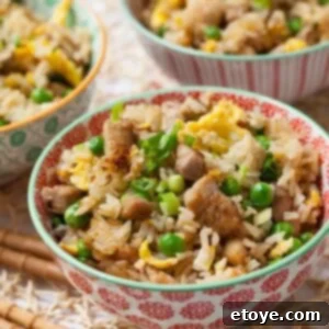 Flavorful Chicken Fried Rice 5 Chicken Fried Rice