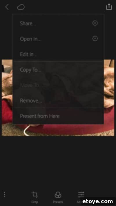 Adobe Photoshop Fix & Lightroom Mobile 7 Photo transferred to Adobe Photoshop Fix, ready for object removal