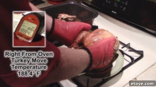 Flexible Silicone Oven Mitts for Grabbing Hot Pans