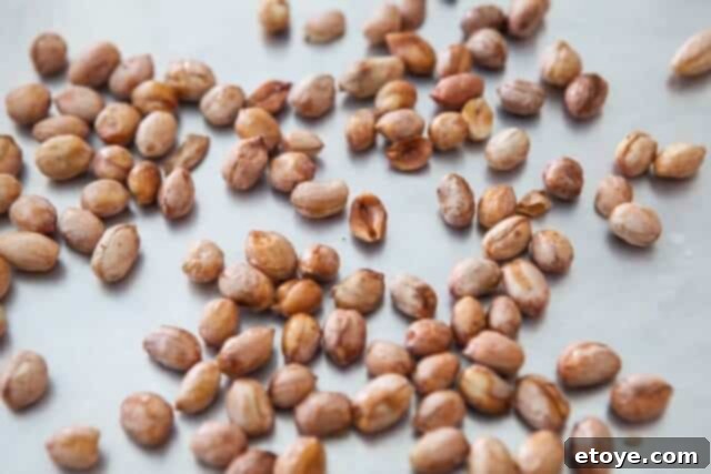Hot roasted peanuts spread on a baking sheet to cool and crisp up.