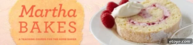 Martha Stewart Bakes Show Header