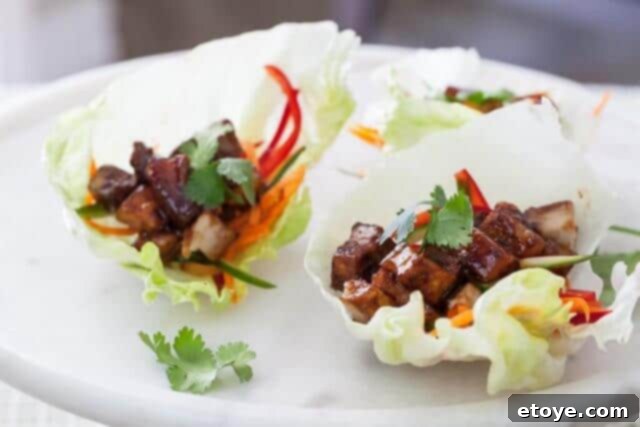 Oliso Sous Vide Review: Win Your Own! 3 Chinese 5-Spice Pork Belly Lettuce Cups