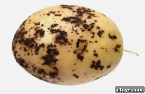 should I refrigerate potatoes - black on potatoes