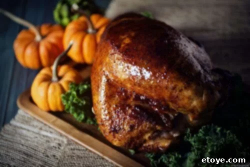 charbroil-digital-electric-smoker-9