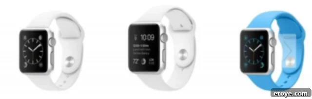 Steamy Kitchen Apple Watch Sport Giveaway - Celebrating a Decade