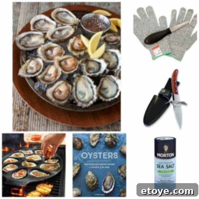 A curated selection of tools and ingredients for preparing a perfect oyster feast, including raw oysters, shucking knives, and coarse sea salt.