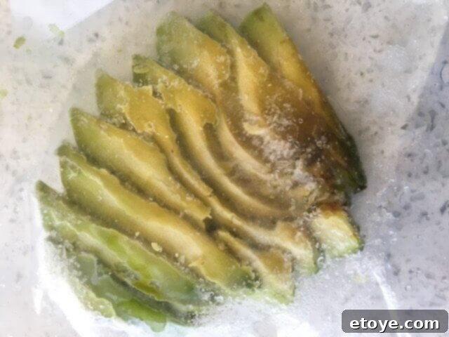 foodsaver-2-in-1-vacuum-sealer-review-0420