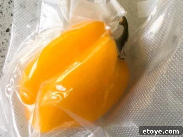 foodsaver-2-in-1-vacuum-sealer-review-0428