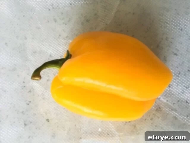 foodsaver-2-in-1-vacuum-sealer-review-0430