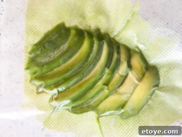 foodsaver-2-in-1-vacuum-sealer-review-0422