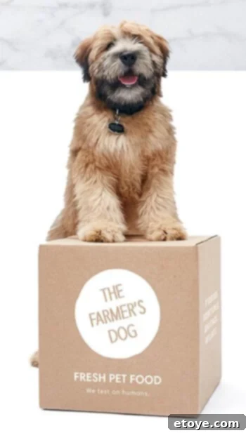 The Farmer's Dog fresh pet food packaging