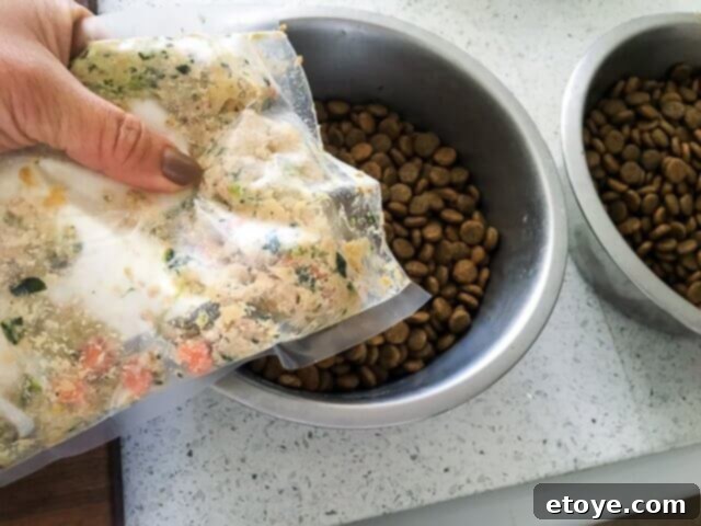 The Farmer's Dog Turkey Recipe, human-grade