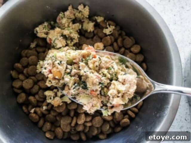 Serving The Farmer's Dog fresh dog food