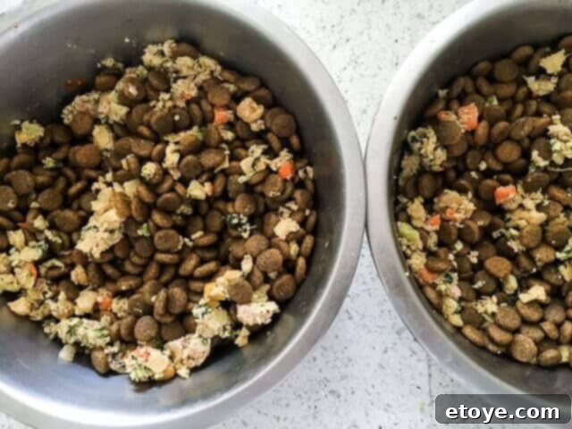 Dog eagerly waiting for The Farmer's Dog meal