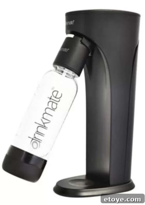 Drinkmate Carbonated Soda Maker Review and Giveaway 5 Drinkmate plastic carbonation bottle with its special pressure release cap