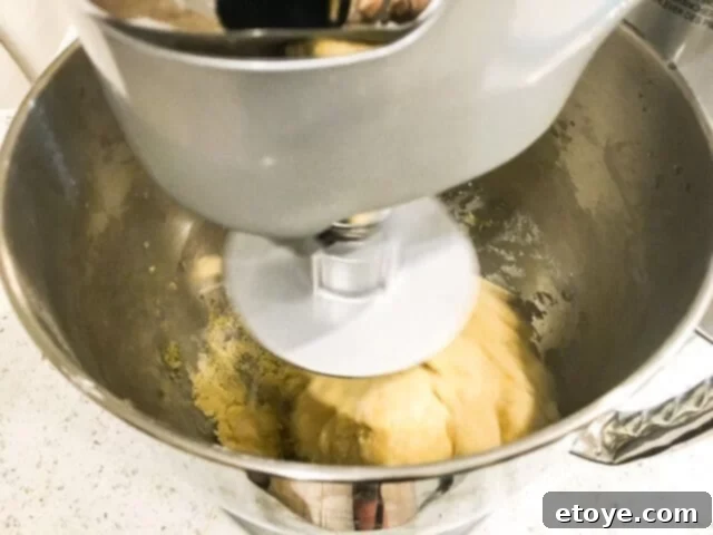 Cuisinart SM-50 5.5 Quart Stand Mixer Review Plus a Giveaway 10 cuisinart-precision-master-stand-mixer-sm-50-review-0489