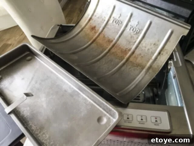 Ronco 5250 Rotisserie Oven: After Dishwasher Cleaning