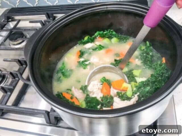 pampered-chef-rockcrok-dutch-oven-xl-review-0675