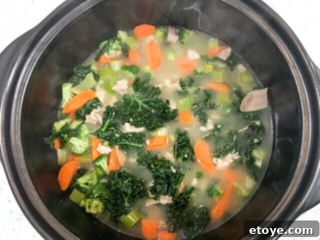 pampered-chef-rockcrok-dutch-oven-xl-review-0681