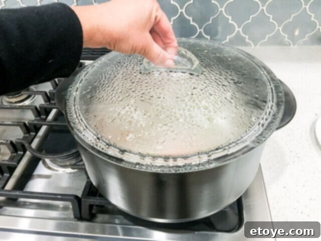 pampered-chef-rockcrok-dutch-oven-xl-review-0669