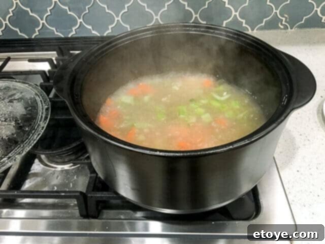 pampered-chef-rockcrok-dutch-oven-xl-review-0670