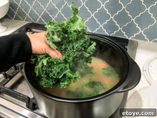 pampered-chef-rockcrok-dutch-oven-xl-review-0671