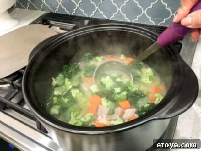 pampered-chef-rockcrok-dutch-oven-xl-review-0676