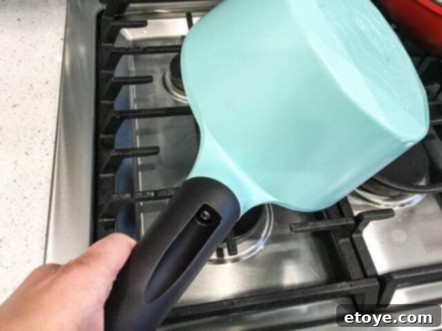 Neoflam Carat Pan Handle Close-up of Bakelite handle attachment on Neoflam Carat pan