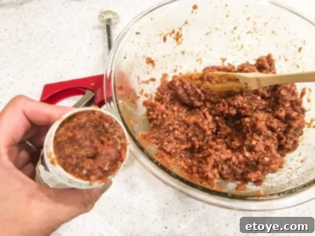 Ronco Dehydrator Review Enter to Win 4 Loading the Ronco Jerky Gun