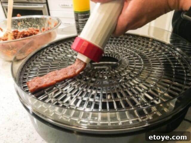 Ronco Dehydrator Review Enter to Win 5 Extruding jerky onto dehydrator trays