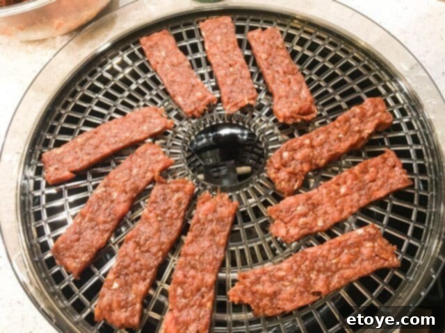 Ronco Dehydrator Review Enter to Win 6 Jerky strips arranged on round dehydrator trays
