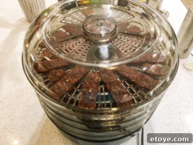 Ronco Dehydrator Review Enter to Win 8 Finished beef jerky from Ronco Dehydrator
