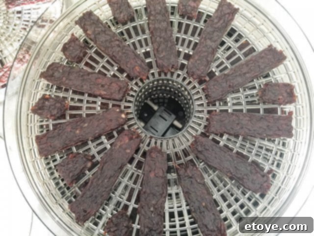Ronco Dehydrator Review Enter to Win 9 Creative beef jerky shapes