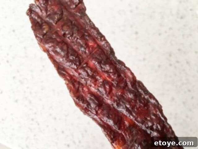 Ronco Dehydrator Review Enter to Win 10 Texture of ground pork jerky