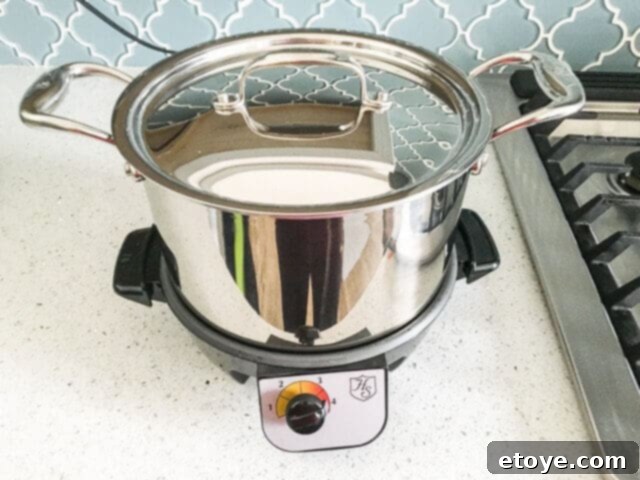 Hammer Stahl Slow Cooker Review Delicious Meals and a Chance to Win 7 Hammer Stahl 5-quart stockpot, showcasing its generous capacity and sturdy handles.