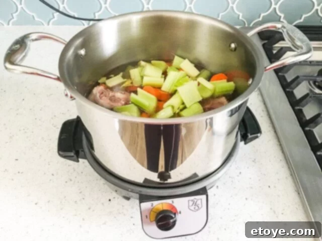 Hammer Stahl Slow Cooker Review Delicious Meals and a Chance to Win 10 Oxtail stew ingredients simmering in the Hammer Stahl stockpot on the slow cooker base.