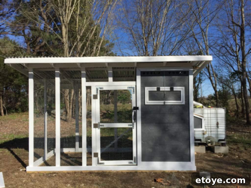 Inspiring Chicken Coops from Our Readers 13 Neil B's chicken coop featuring siding extended to the ground and demonstrating a cost-effective direct roof installation