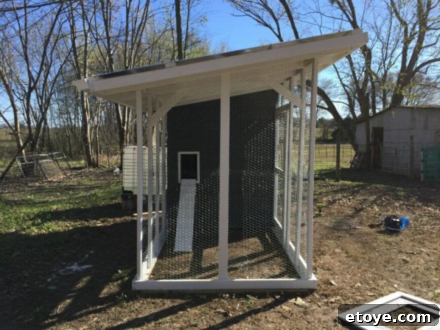 Inspiring Chicken Coops from Our Readers 14 Detailed view of Neil B's chicken coop roof and the use of chicken wire for effective ventilation and robust run enclosure