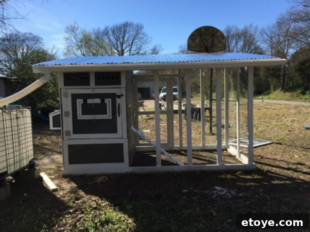 Inspiring Chicken Coops from Our Readers 15 Neil B's chicken coop featuring a sustainable rainwater harvesting system for efficient flock care and garden irrigation